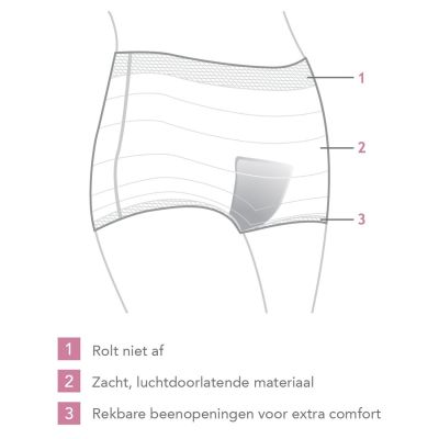 Carriwell Post Partum Netbroekjes 4st.